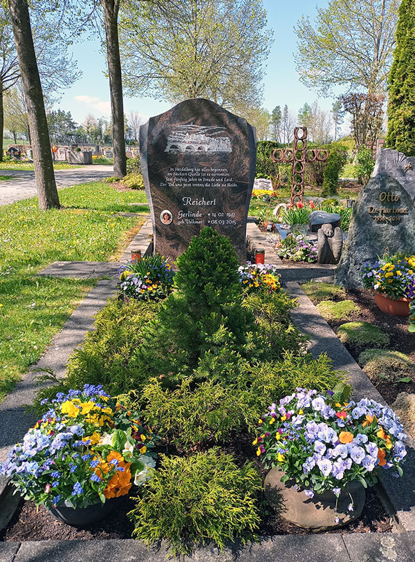 Am 12. Februar 2022 mit roten Rosen  zum  Geburtstag
