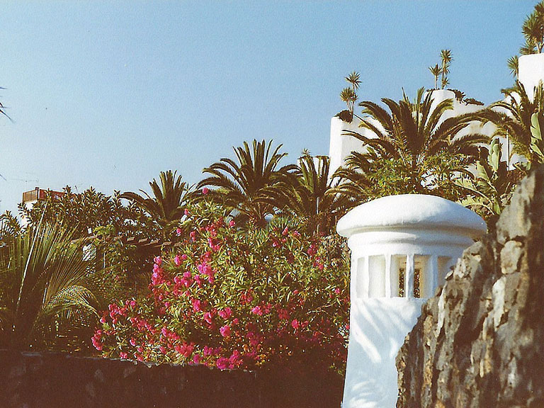 Hotelanlage Jardin Tropical mit üppiger Vegetation