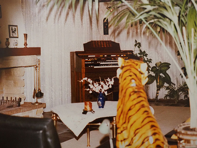 Orgel in Buxtehude